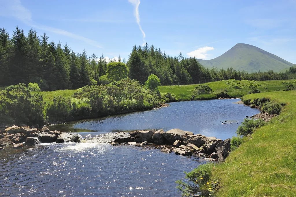 Island Pods gallery 1