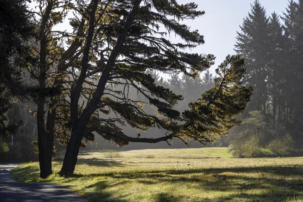 Agate Campground — Sue-meg State Park gallery 1