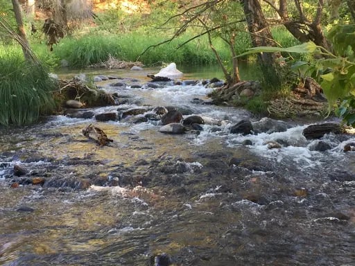 Oak Creek Mobile Lodge gallery 3