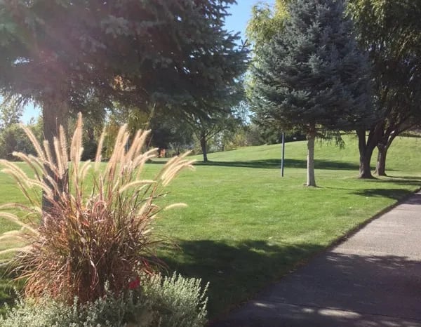 Suncrest RV Park gallery 2