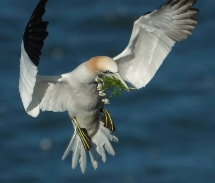 Wold Farm Caravan and Camping Site gallery 1