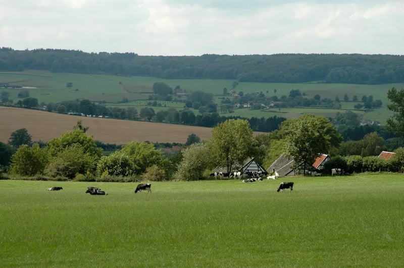 Camping Rozenhof gallery 1