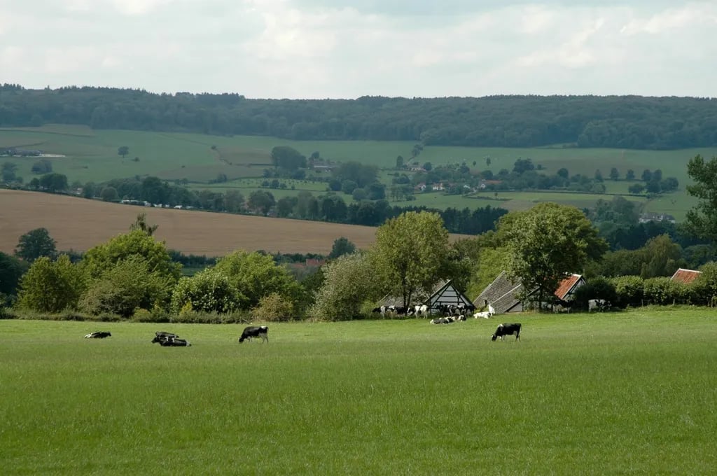 Camping Rozenhof gallery 1