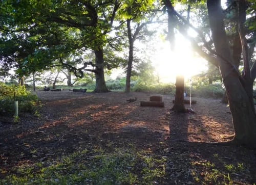 Little Ropers Woodland Camping gallery 1