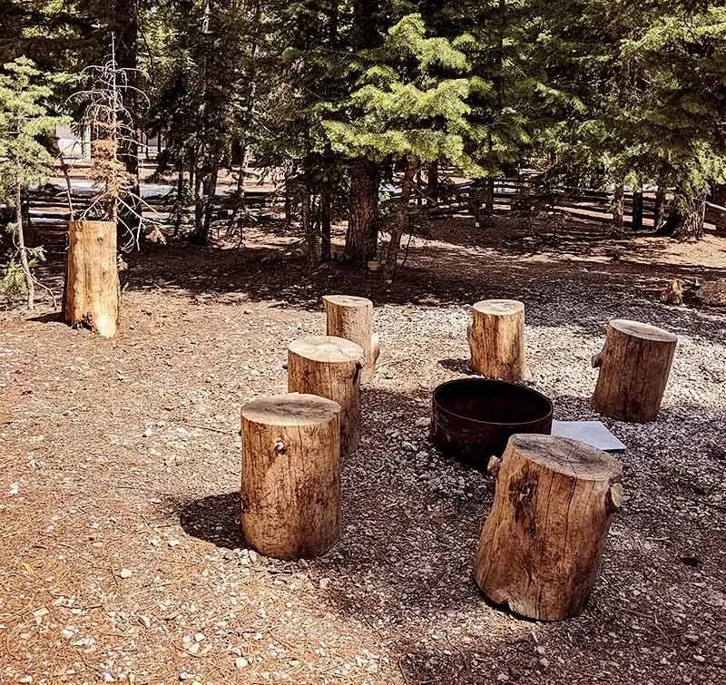 Pinewoods Resort gallery 2