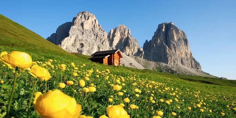 Campeggio Marmolada