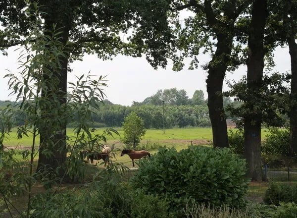 Camping Grimberghoeve gallery 2