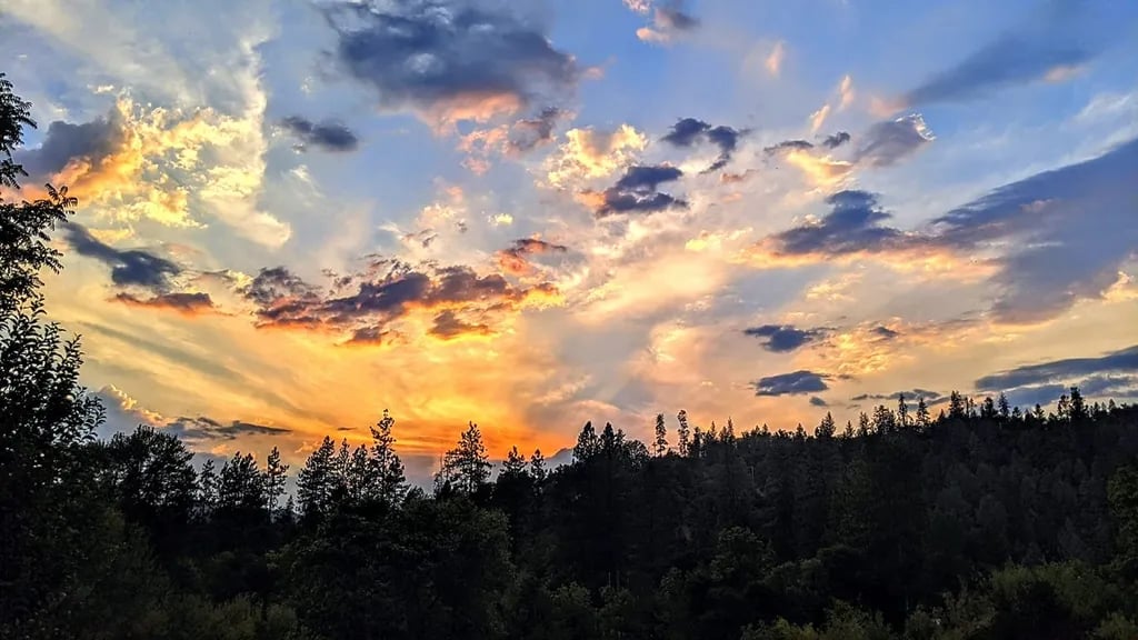 River Oaks Resort gallery 2