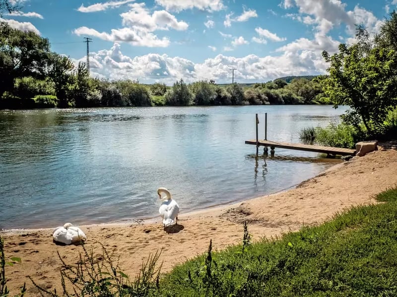 Campingplatz Escherndorf gallery 1