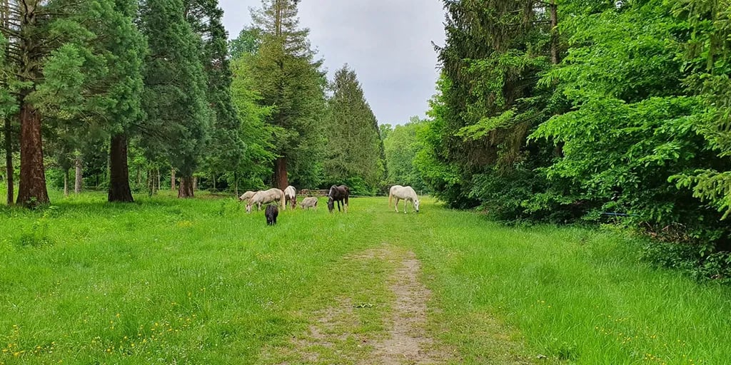 Les Cabanes de Graville