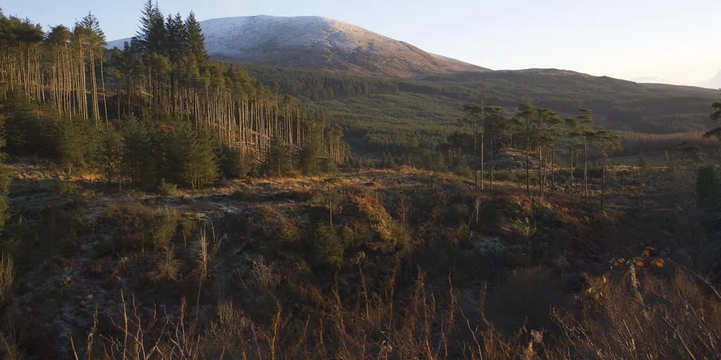 Barnsoul Caravan Park