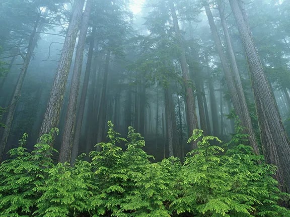 Midway RV Park gallery 1