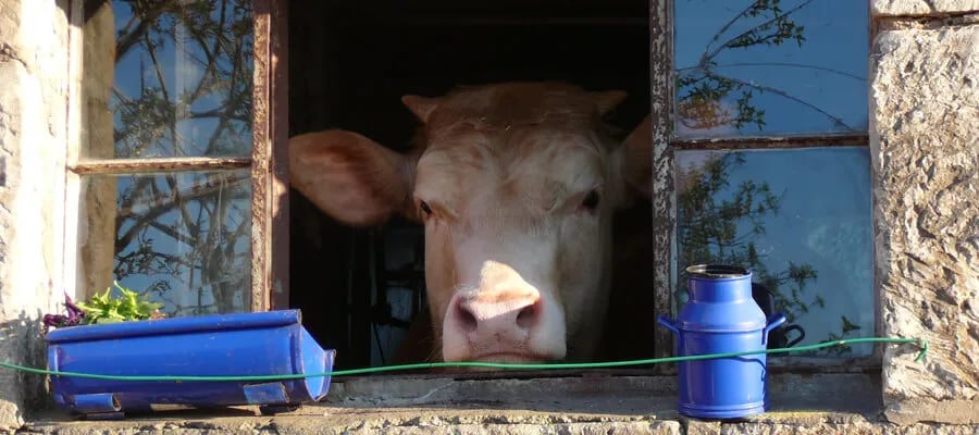 Camping Edersee-Paradies gallery 3