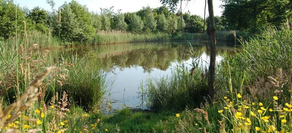 Camping De Flierweide gallery 3