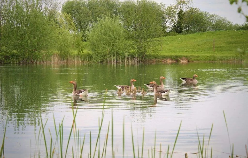 Allerthorpe Lakeland Park gallery 2