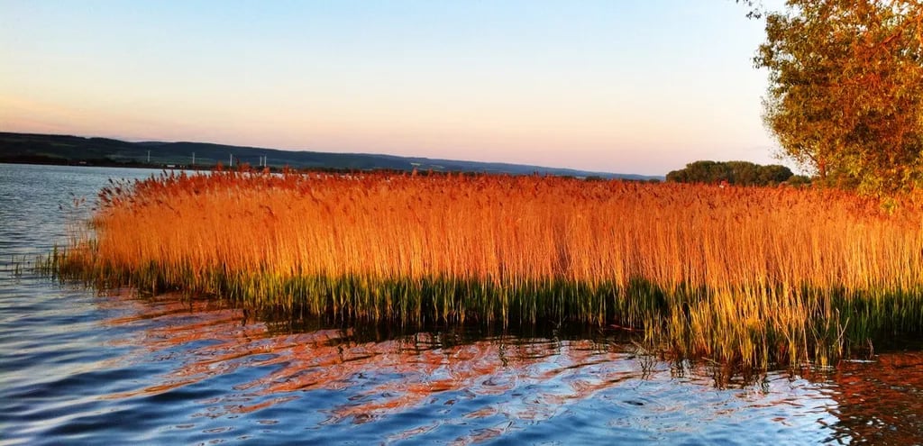 Seecamping Kelbra gallery 3