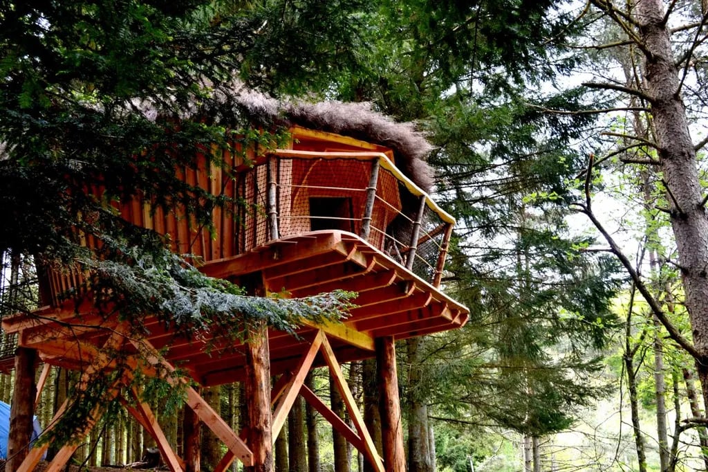 Les Roulottes et Cabanes du Livradois gallery 3