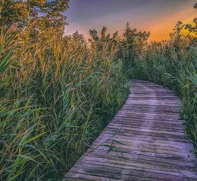 Camping Le Beaulieu gallery 3