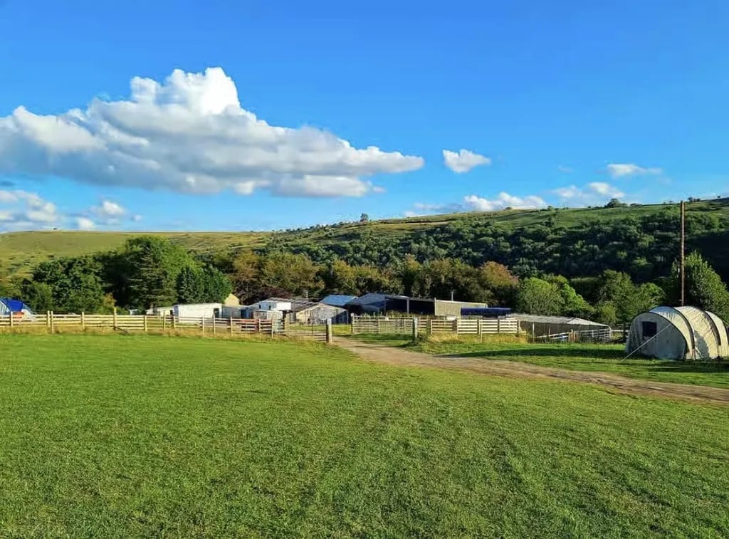 Beltonville Farm gallery 1