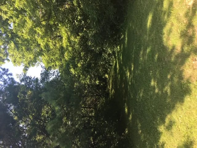 Pioneer City Park gallery 3