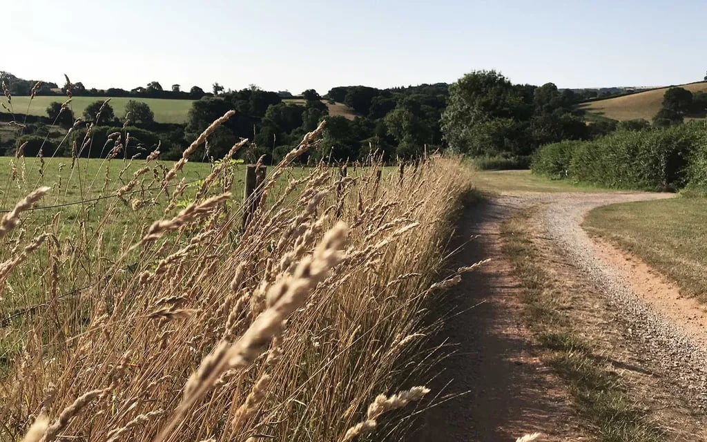 Higher Coarsewell Farm gallery 2