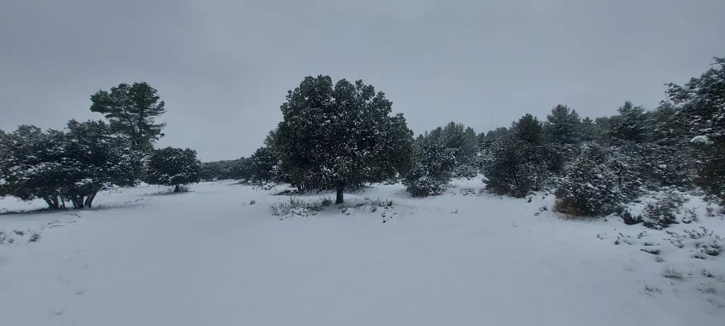 Camping Sierra de María gallery 3