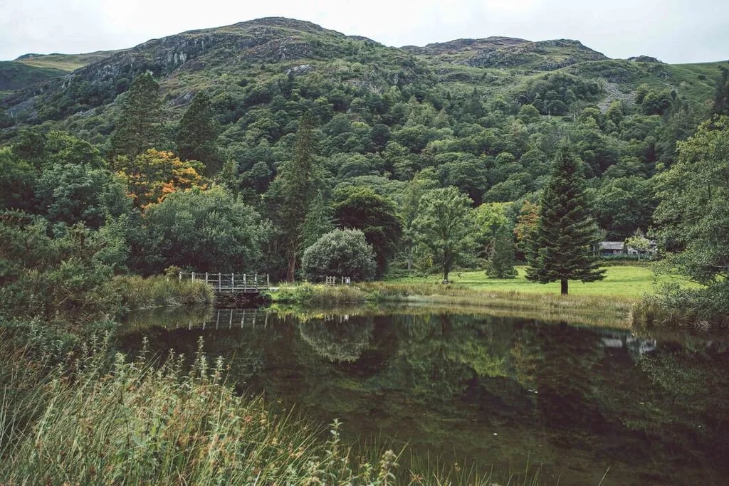 Dysynni Valley Campsite gallery 1