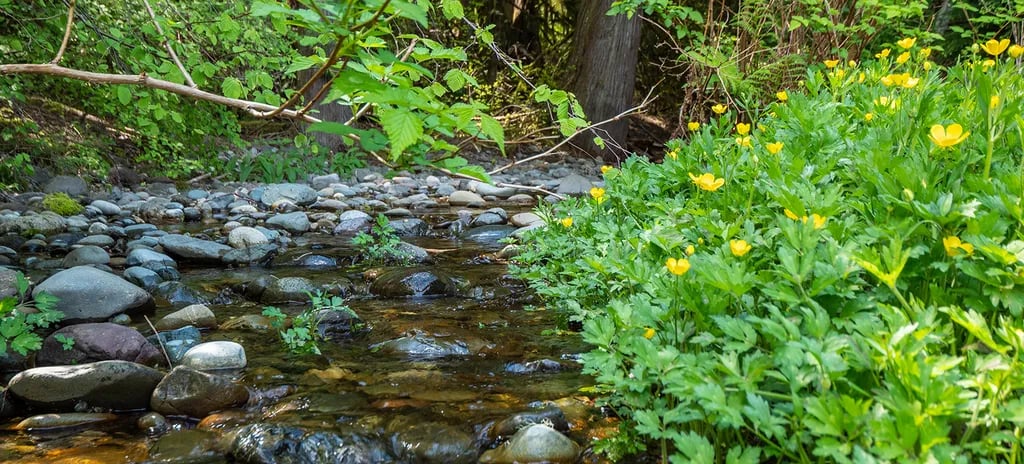 Glen Ayr Resort gallery 3