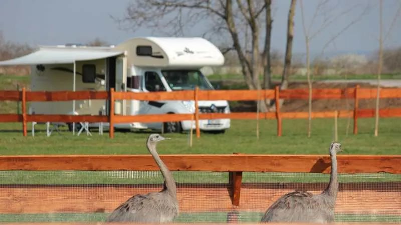 Camping with animals in Zoopark Zelčín gallery 2