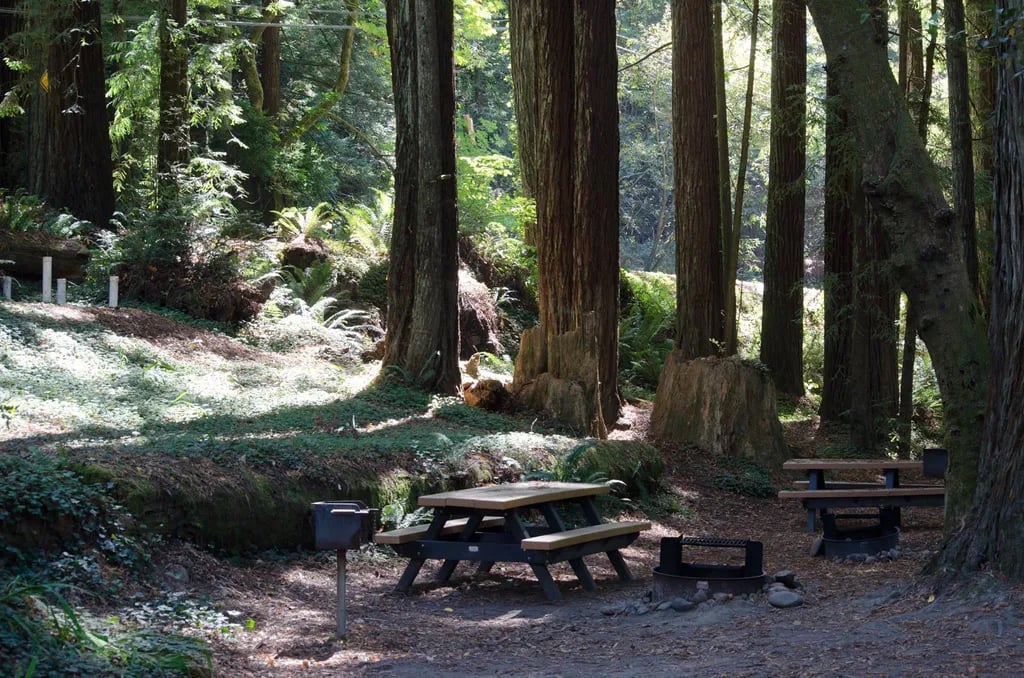 Ruby Van Deventer Co Park gallery 2