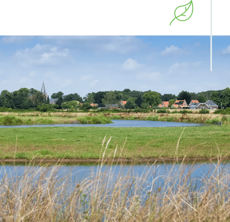 De Vetweide gallery 3