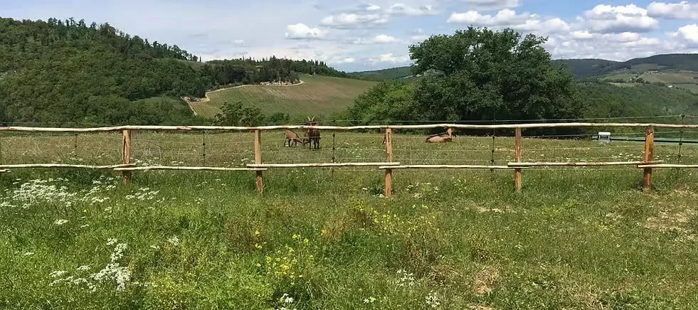 Agricamping L’Apicorno gallery 1