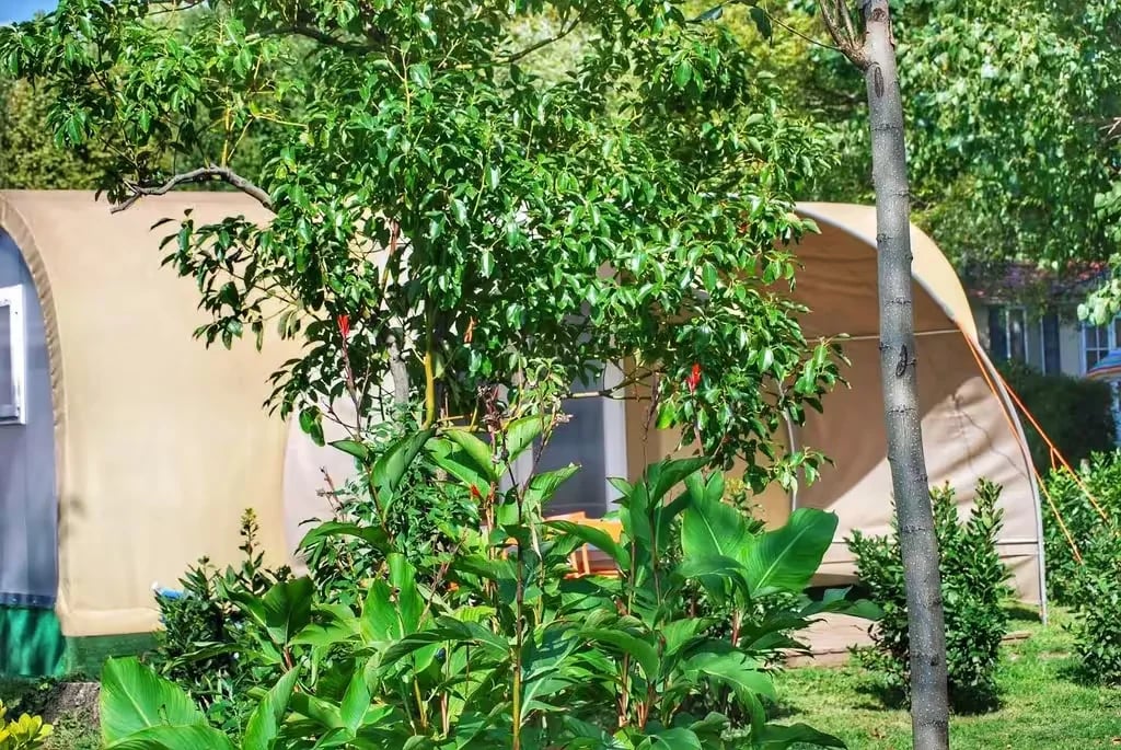 International Glamping Lago Di Bracciano gallery 3