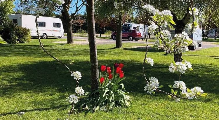 Gloucester Camping at Court Farm gallery 2
