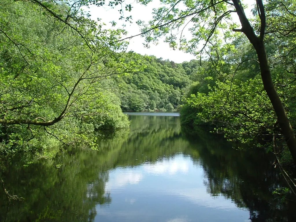 Wyresdale Camping gallery 1