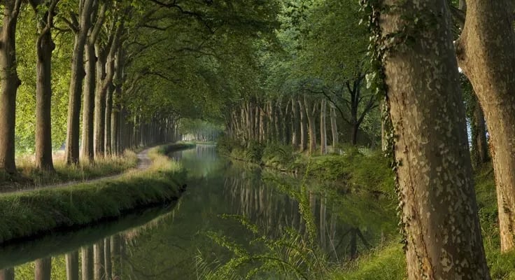 Camping du Domaine de Massereau gallery 3