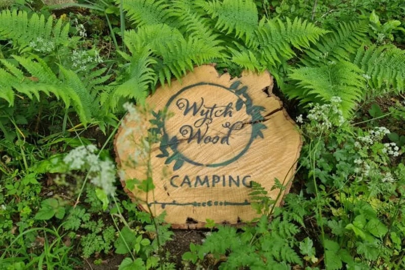 Wytch Wood Camping gallery 3