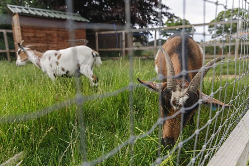 Breck Farm Caravanning and Camping gallery 1