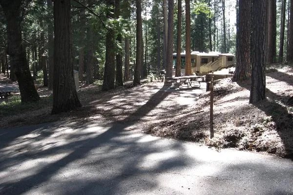 Jenkinson Campground—Sly Park Recreation Area gallery 1