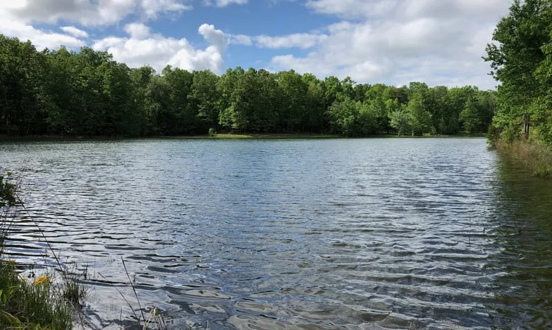 Tranquility Campground gallery 1