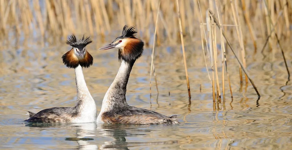 San Francesco Camping Village gallery 3