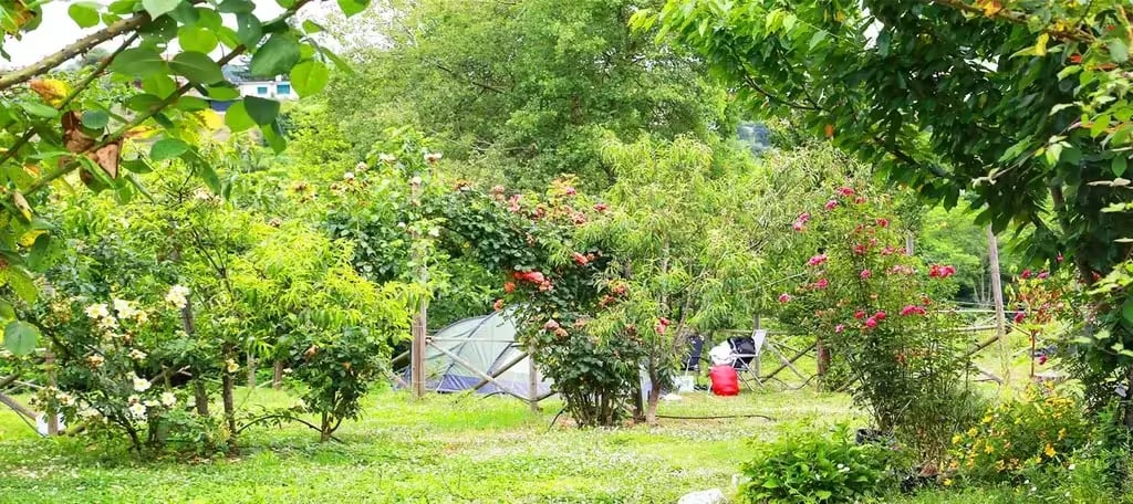 Agricamping Oasi del Belvivere gallery 3