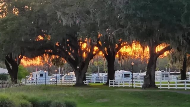 Paradise Oaks RV Resort gallery 2