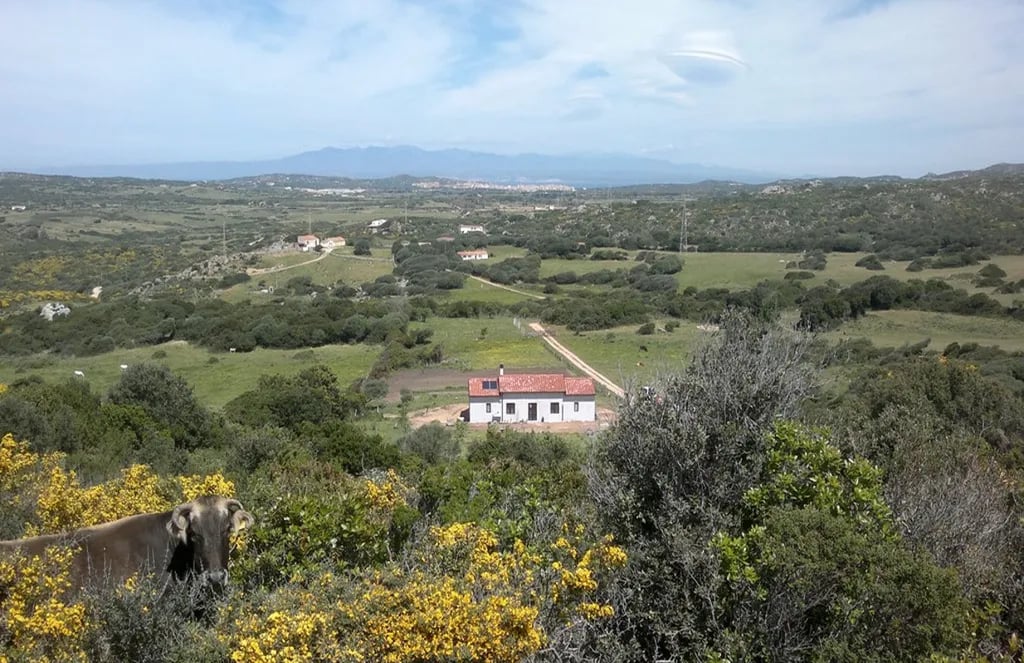 Agricamping – Agriturismo Petra di Cossu gallery 1