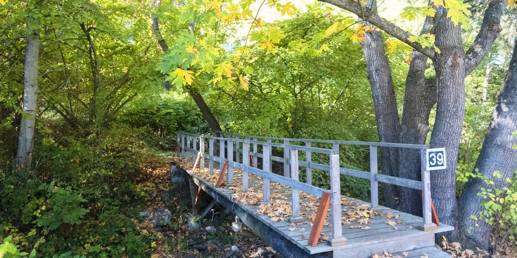 Ashland’s Creekside Campground & RV Park gallery 3