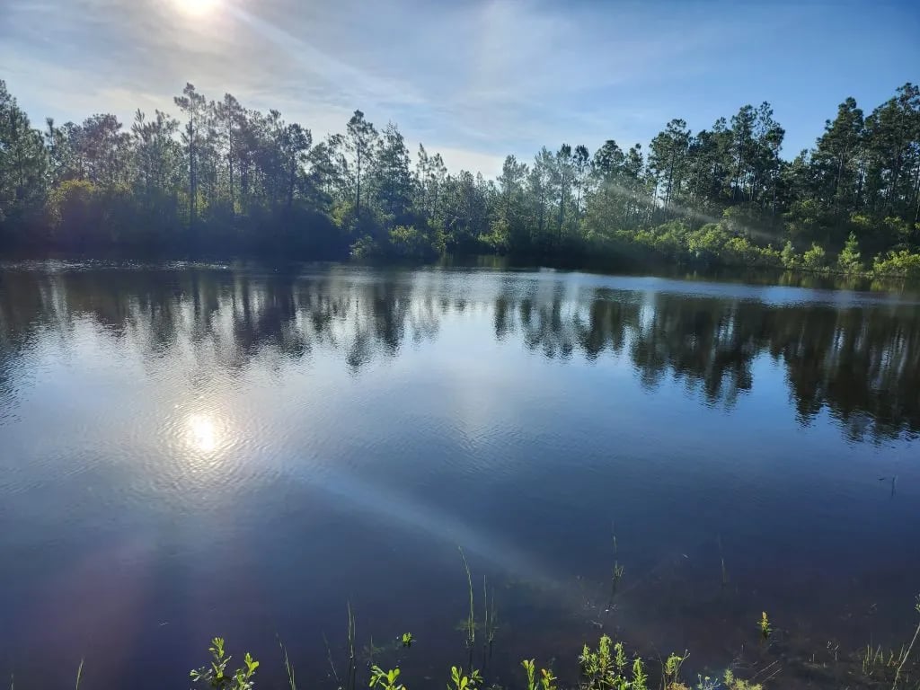 Pine Lake RV Park gallery 2