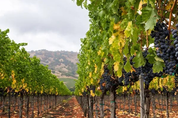 Little Red Barn Campground