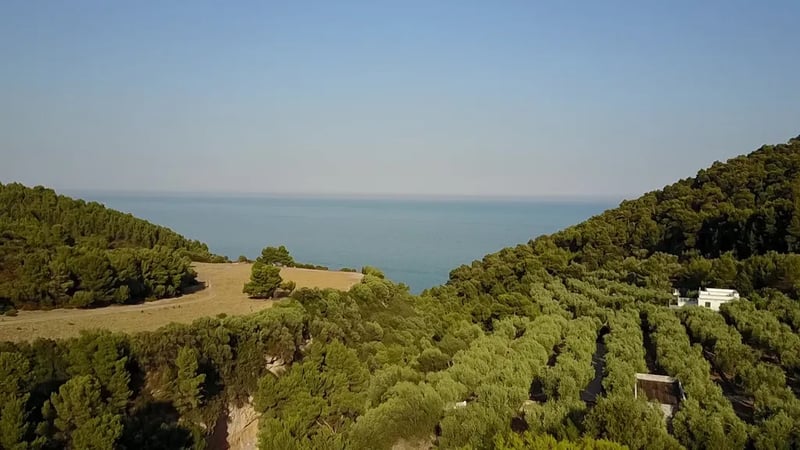 Campeggio Vignanotica gallery 2