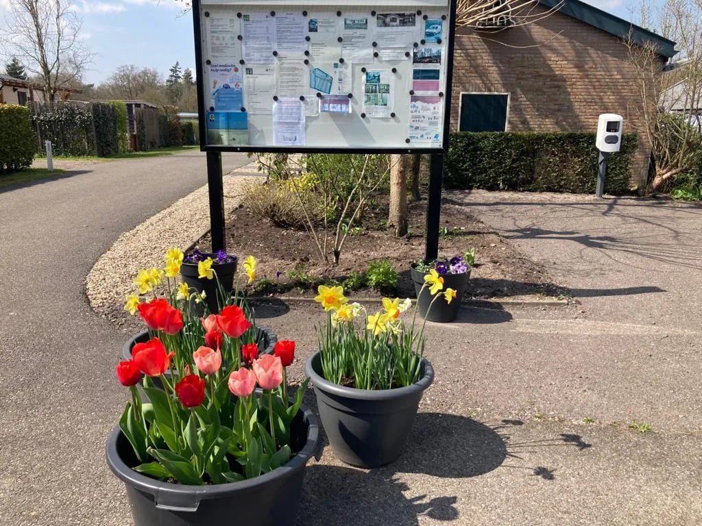 Camping Beans Hill gallery 2