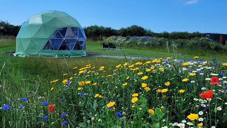 Stargaze Glamping